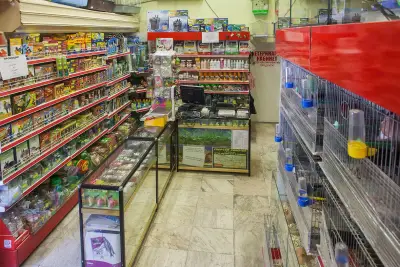 Зоомагазин Еврозоовет Скалар