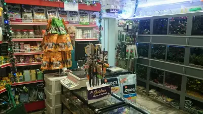 Зоомагазин Еврозоовет Скалар