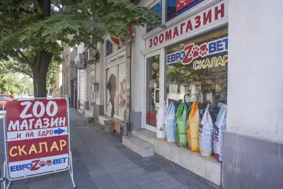 Зоомагазин Еврозоовет Скалар