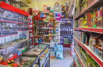 Зоомагазин Еврозоовет Скалар