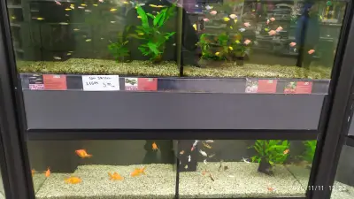 Zoomania Megastore Plovdiv