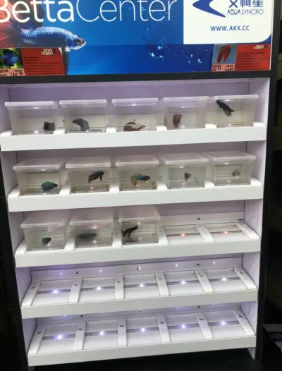 Zoomania Megastore Plovdiv