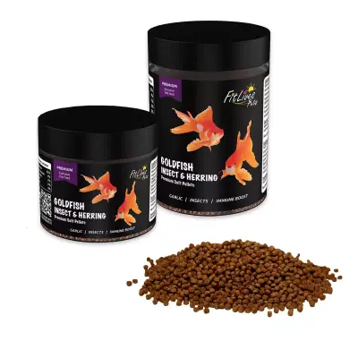 FitLives LTD.