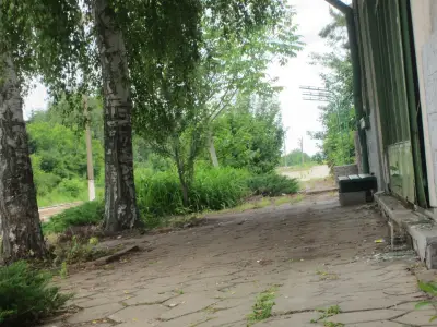 Община Летница