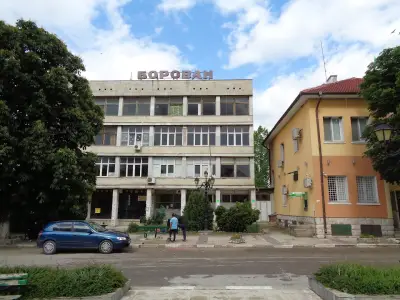 Община Борован
