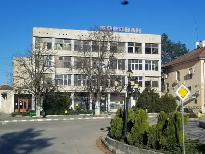 Община Борован