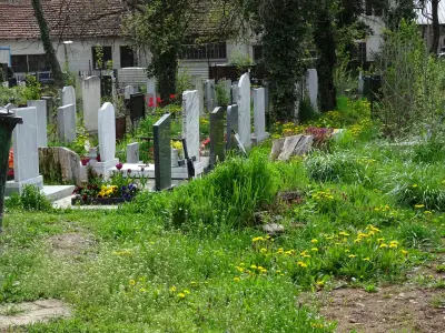 Гробищен парк Дървеница