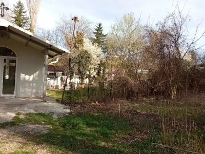 Гробищен парк Дървеница