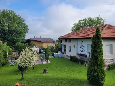 ZelinCamp