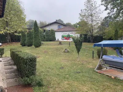 ZelinCamp