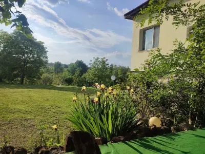 Camping Green