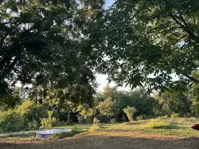 Camping Green
