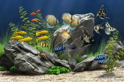 Ферма за декоративни рибки и скариди AQUA HOUSE