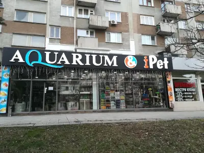 Аквариум БГ и АйПет