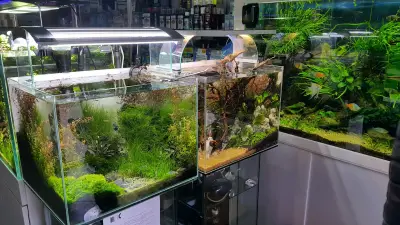 Акваскейп.бг