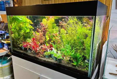 Акваскейп.бг