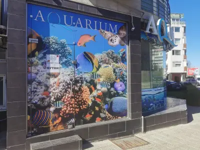 Аквариум БГ