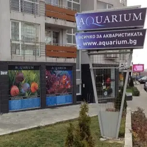 Аквариум БГ