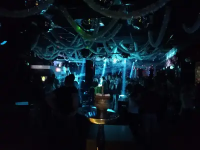 Club Pasha | Нощен клуб Пловдив | DJ парти | Алкохолни напитки | Гостуващи изпълнители