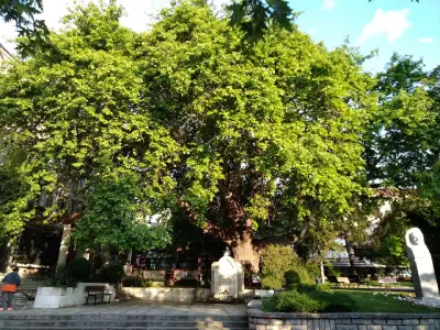 Апартаменти Томас Палас