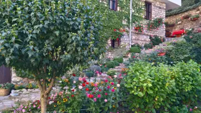 Guest House Shestaka