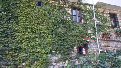 Guest House Shestaka