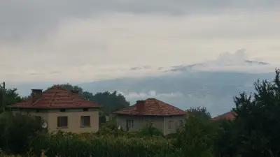 Complex Dinastia