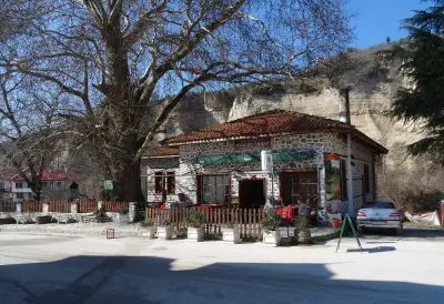 Стария чинар Мелник