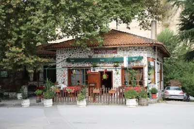 Стария чинар Мелник