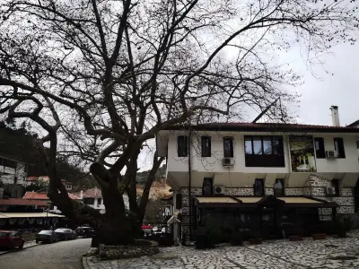 Къща за Гости Чинарите