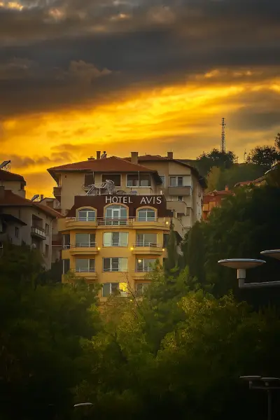 Хотел Авис