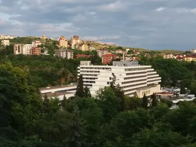 Хотел Авис