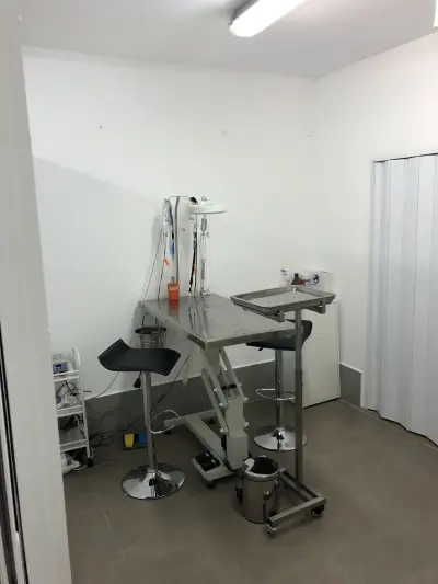 Vet Star Clinic