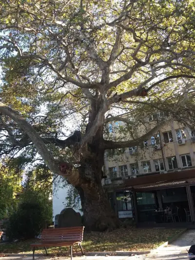 Къща за гости Аморе