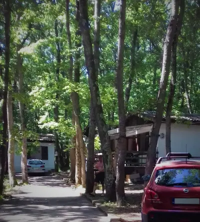 Бунгала Дани