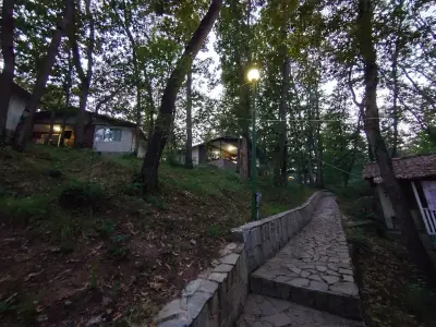 Бунгала Нимфа