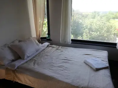 Къщата / The House