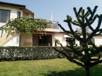 Къщата / The House