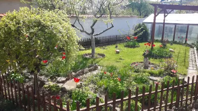 Вила Теди, Villa Tedi