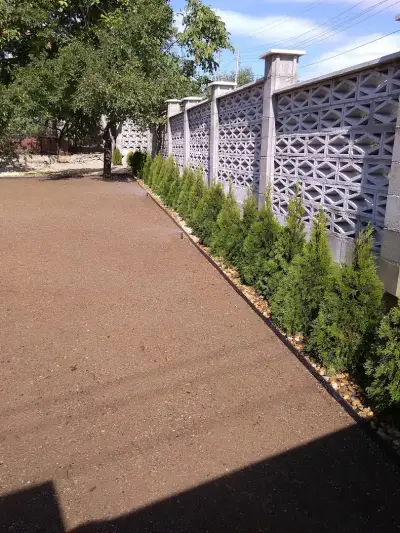 Вила Теди, Villa Tedi