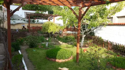 Вила Теди, Villa Tedi