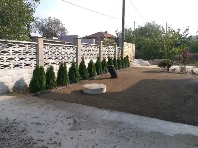 Вила Теди, Villa Tedi