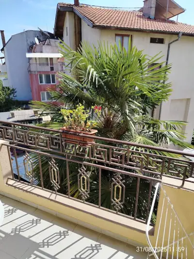 Sunny House