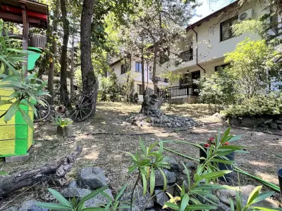 Вили Боров рай