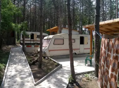 Бора