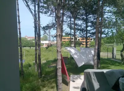 Бора