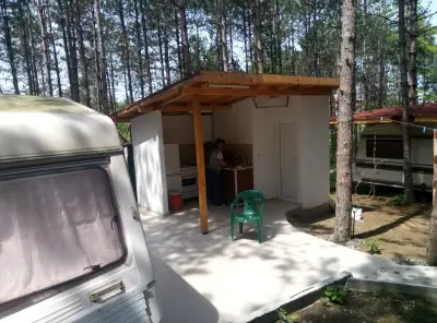 Бора