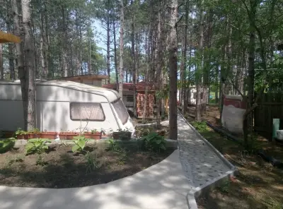 Бора