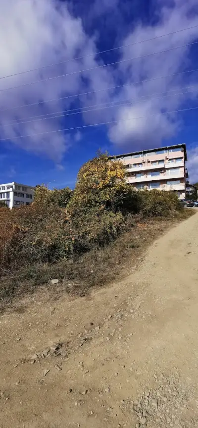 Sunshine View