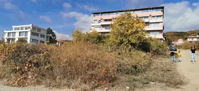 Sunshine View